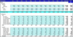 template to fill up the income and expenses