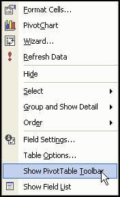 pivot_table_show_toolbar